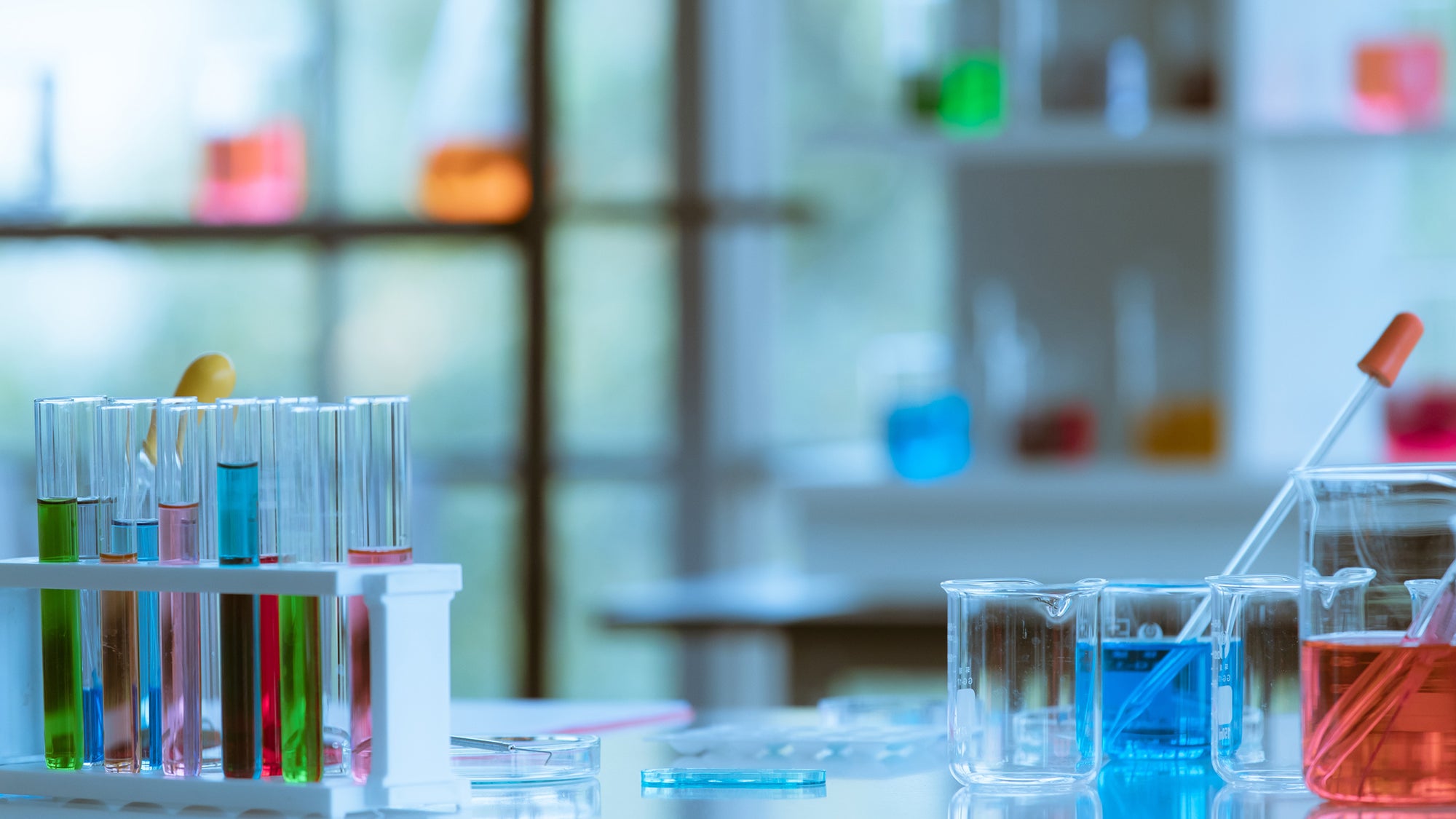 Harvard Medical Research Faculty