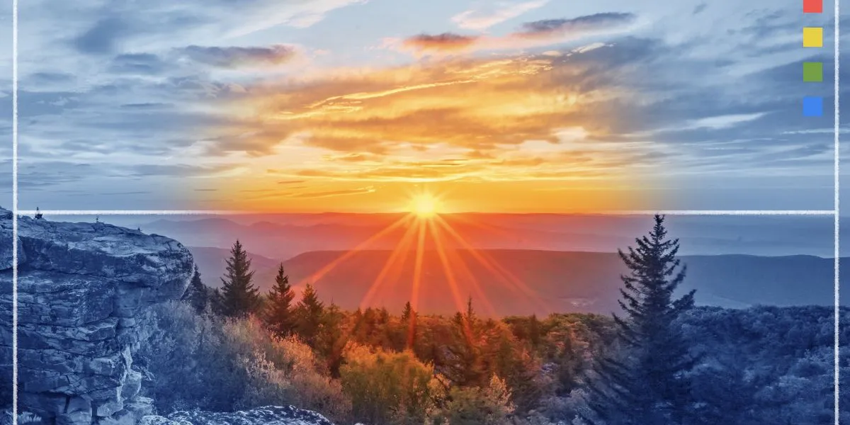 EPA eliminates Office of Research and Development, fires up to 1,155 scientists under reorganization